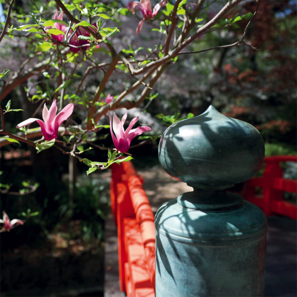 Weitere Ansicht: Japanese Garden 2023