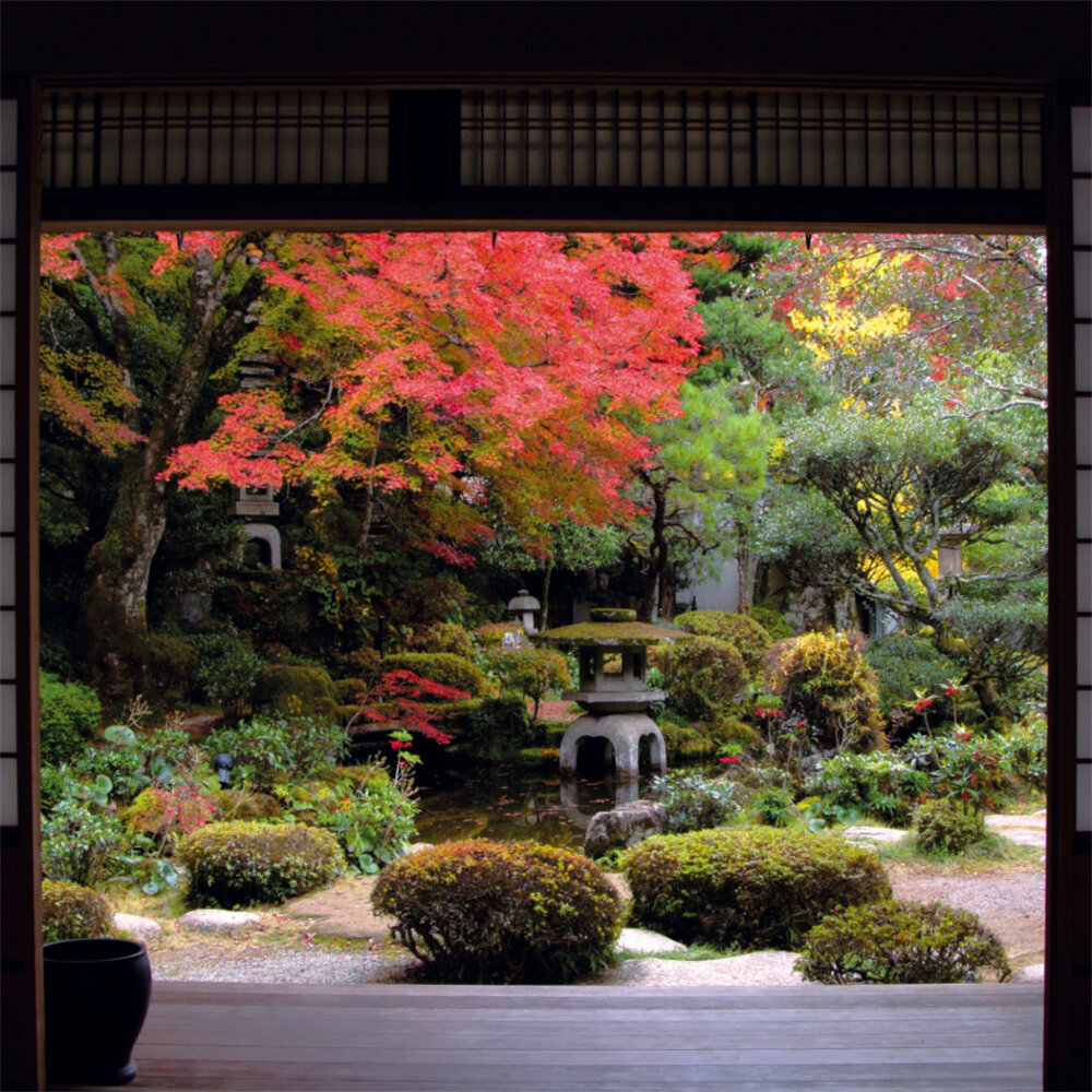 Weitere Ansicht: Japanese Garden 2023