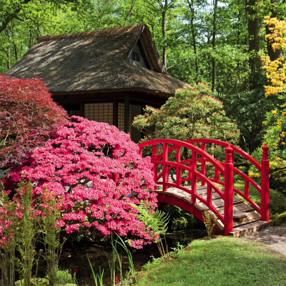 Weitere Ansicht: Japanese Garden 2023