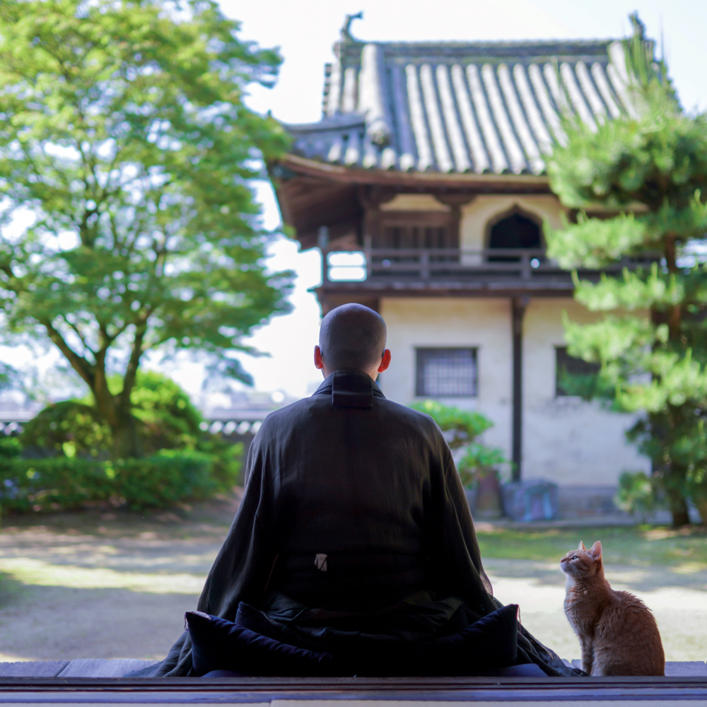 Weitere Ansicht: Meditation 2023