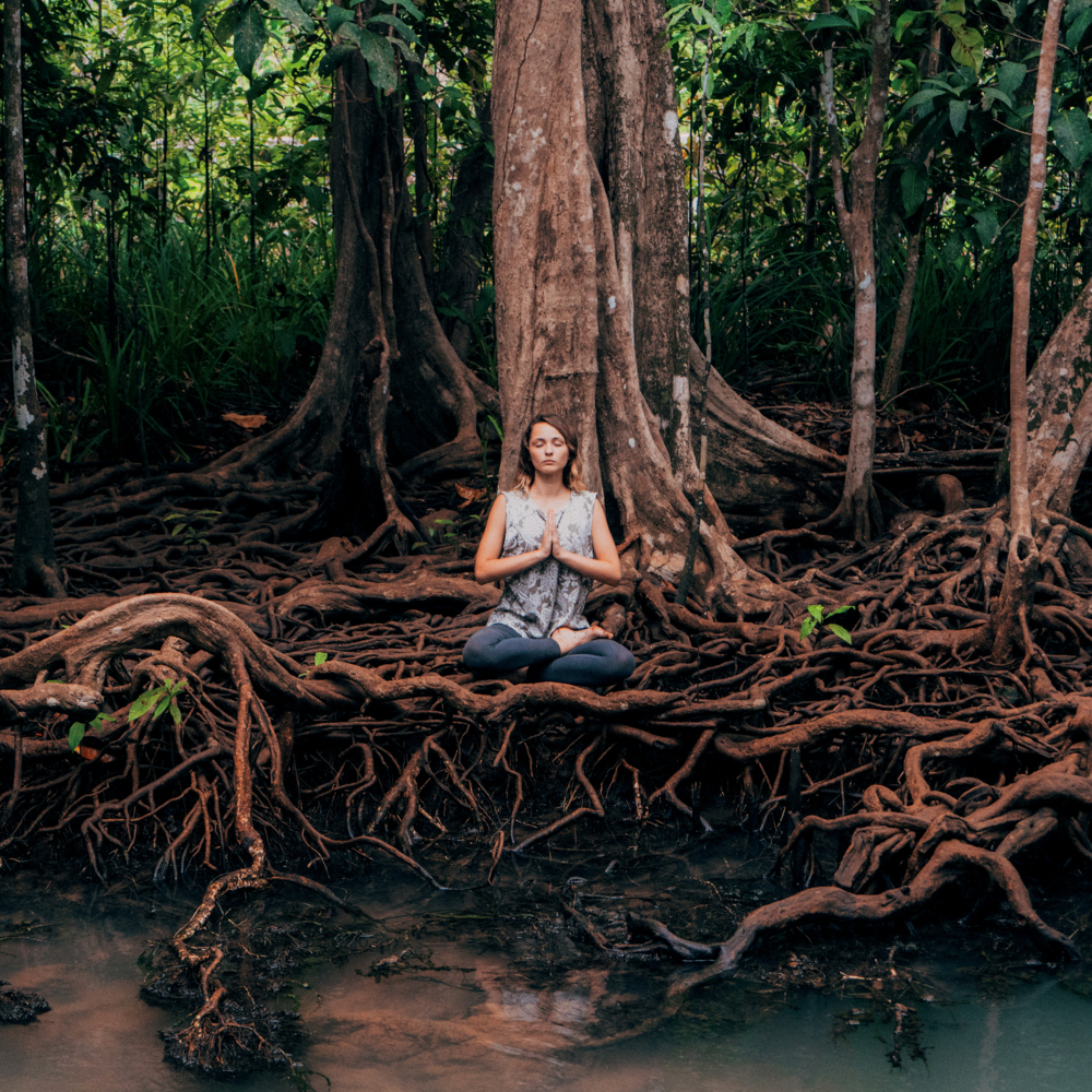 Weitere Ansicht: Meditation 2023