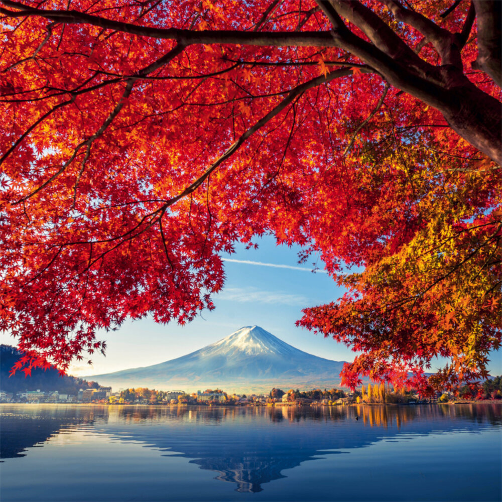 Weitere Ansicht: Inside Japan 2023