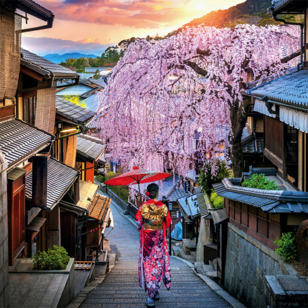 Weitere Ansicht: Inside Japan 2023