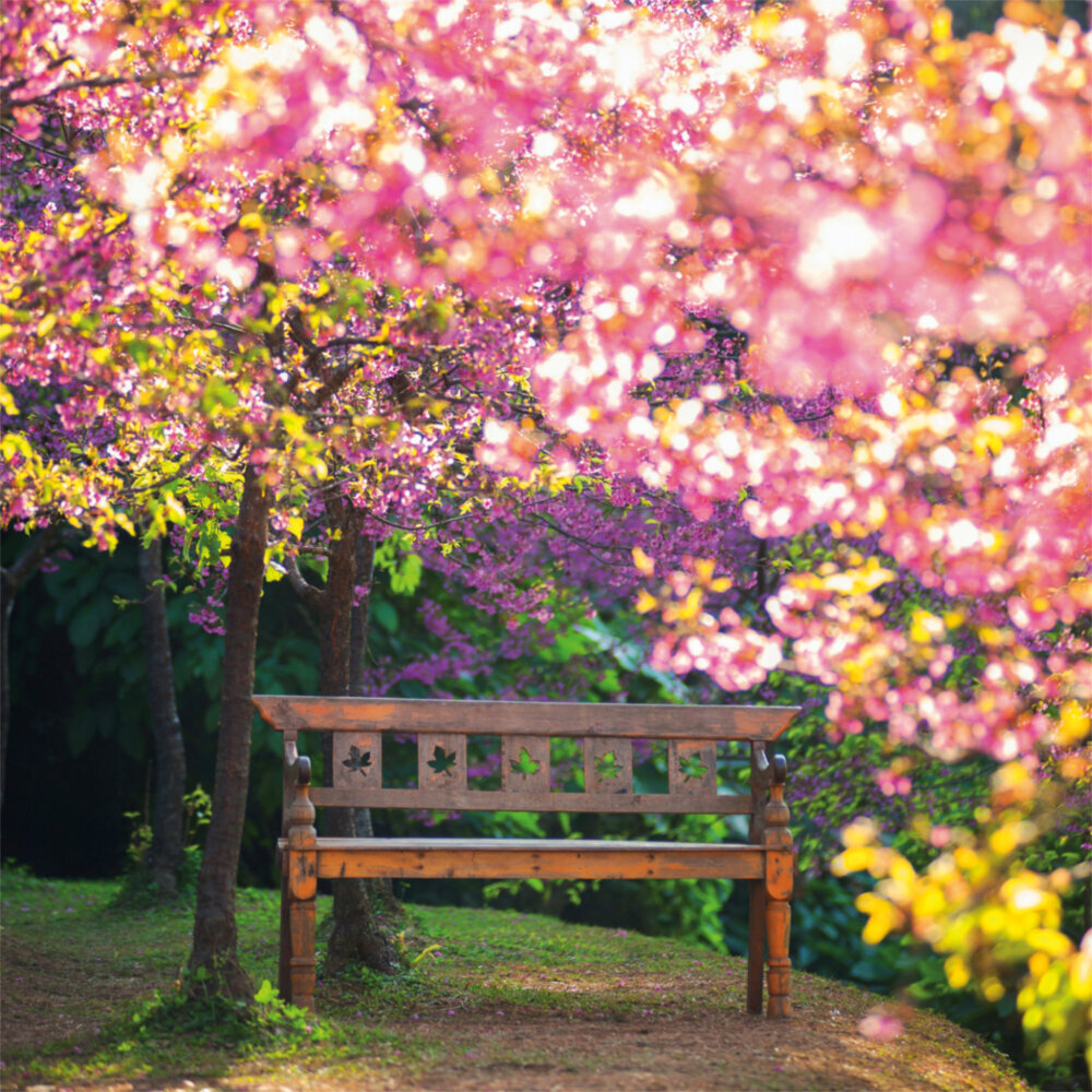 Weitere Ansicht: Inside Japan 2023