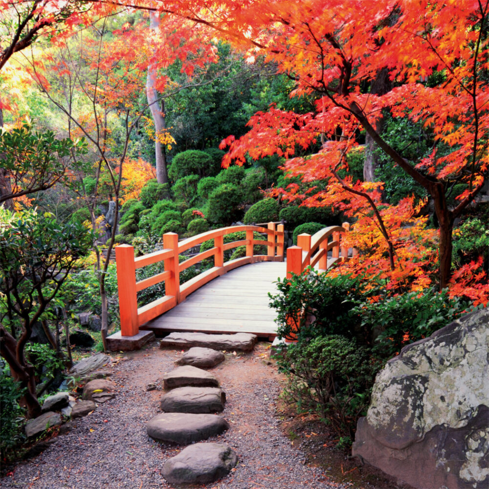 Weitere Ansicht: Inside Japan 2023