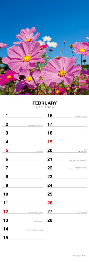Weitere Ansicht: Flowers from the Field 2023