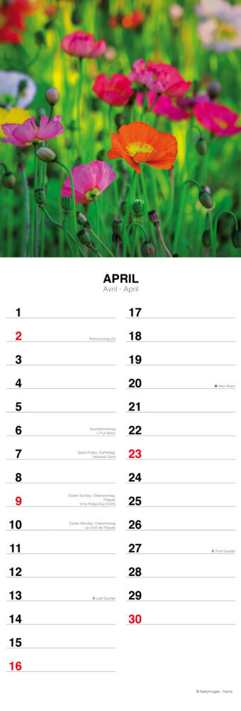 Weitere Ansicht: Flowers from the Field 2023