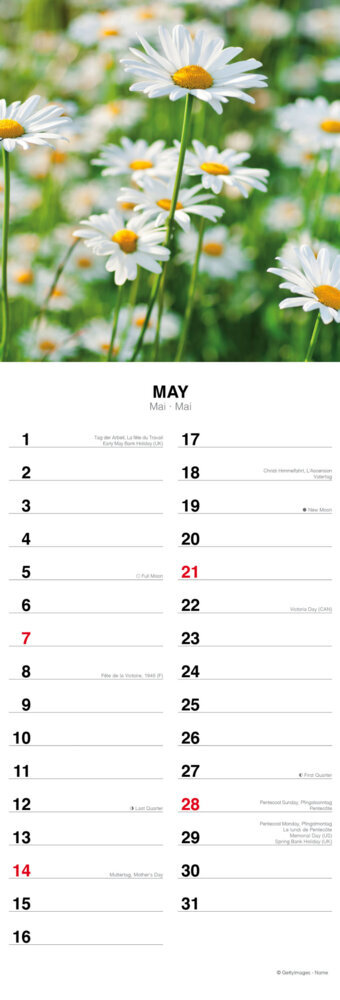 Weitere Ansicht: Flowers from the Field 2023