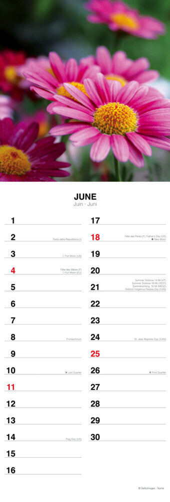 Weitere Ansicht: Flowers from the Field 2023