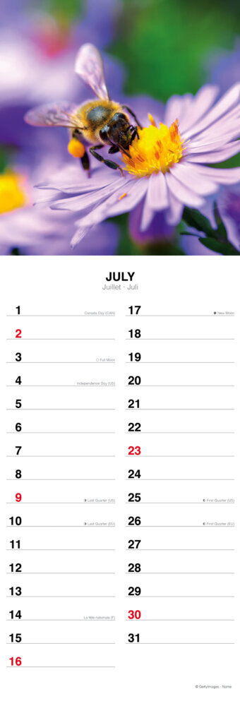 Weitere Ansicht: Flowers from the Field 2023