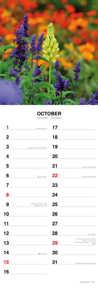 Weitere Ansicht: Flowers from the Field 2023
