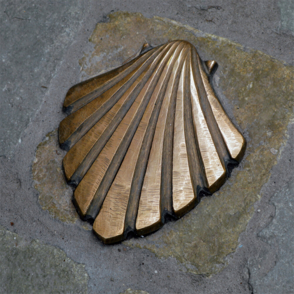 Weitere Ansicht: Camino de Santiago 2023