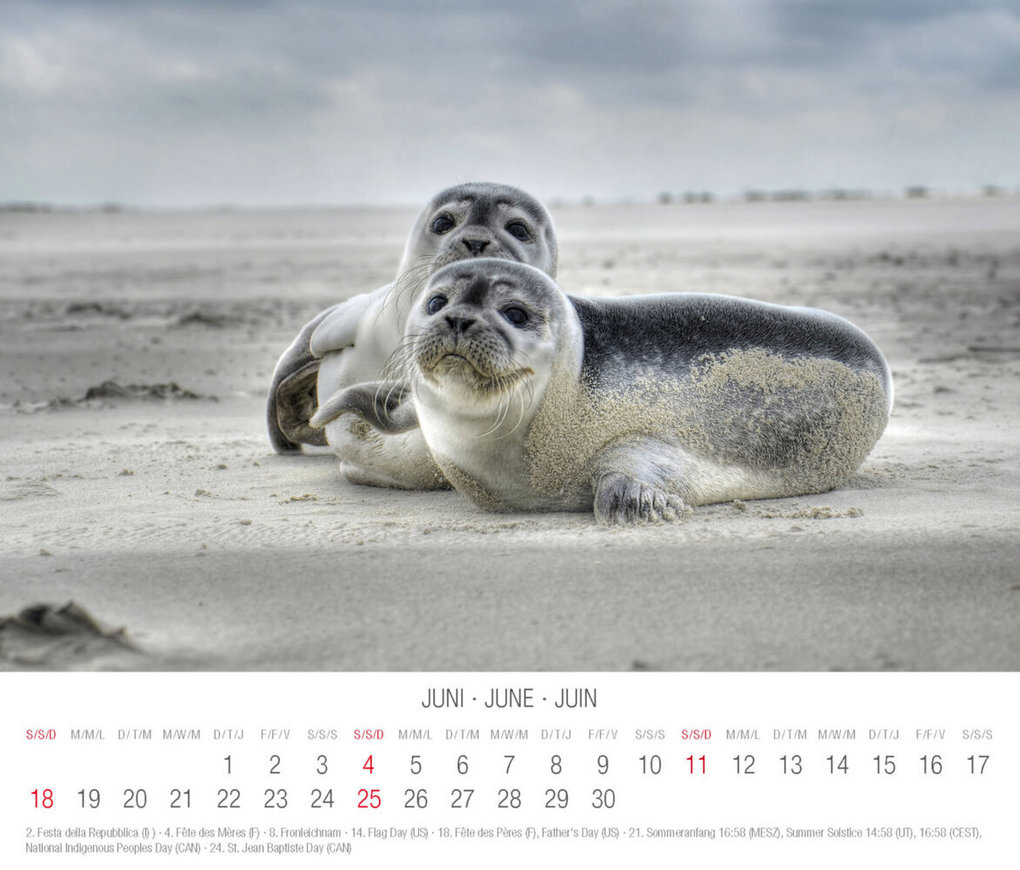 Weitere Ansicht: Nordsee 2023