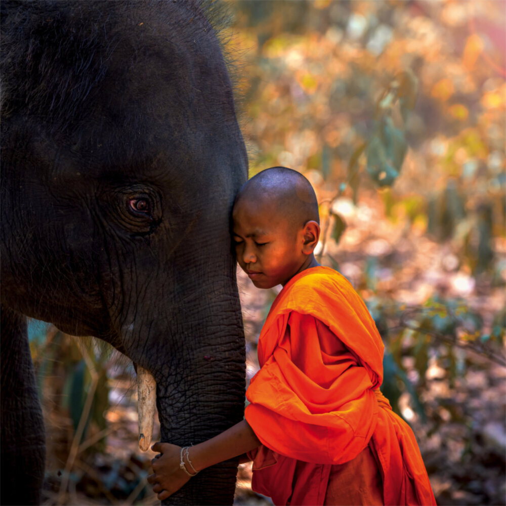 Weitere Ansicht: Buddhas Footprints 2023