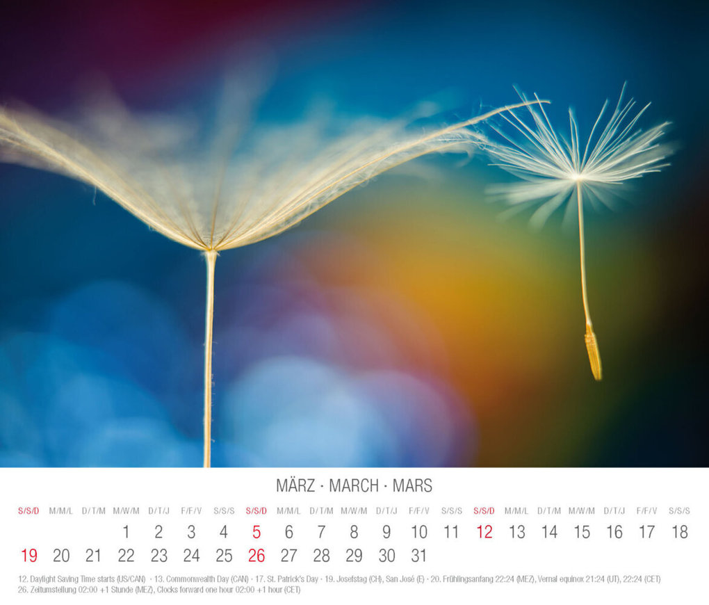Weitere Ansicht: Meditation 2023
