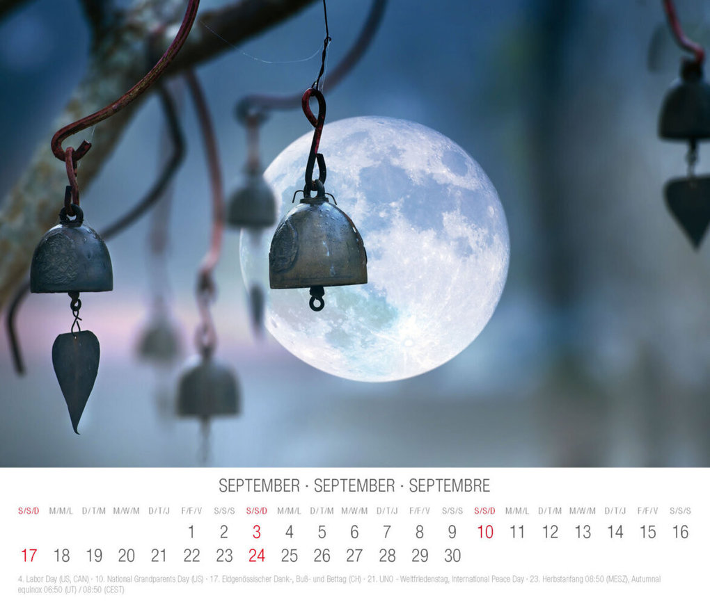 Weitere Ansicht: Meditation 2023