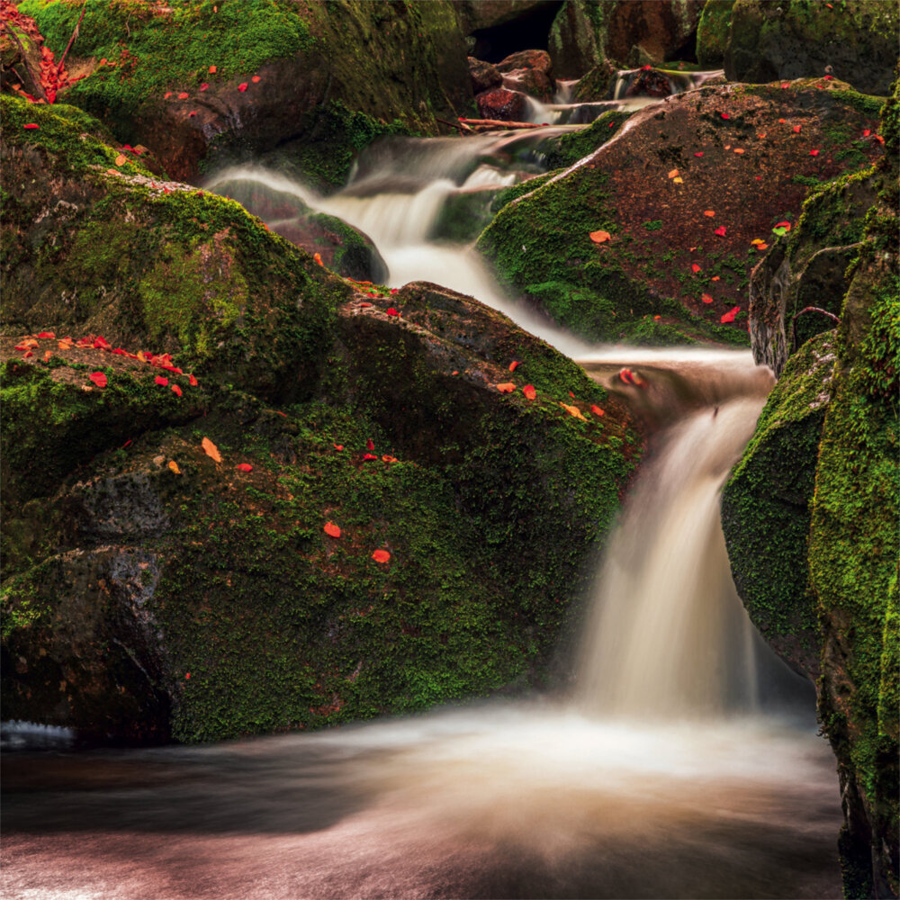 Weitere Ansicht: Zen Nature 2023