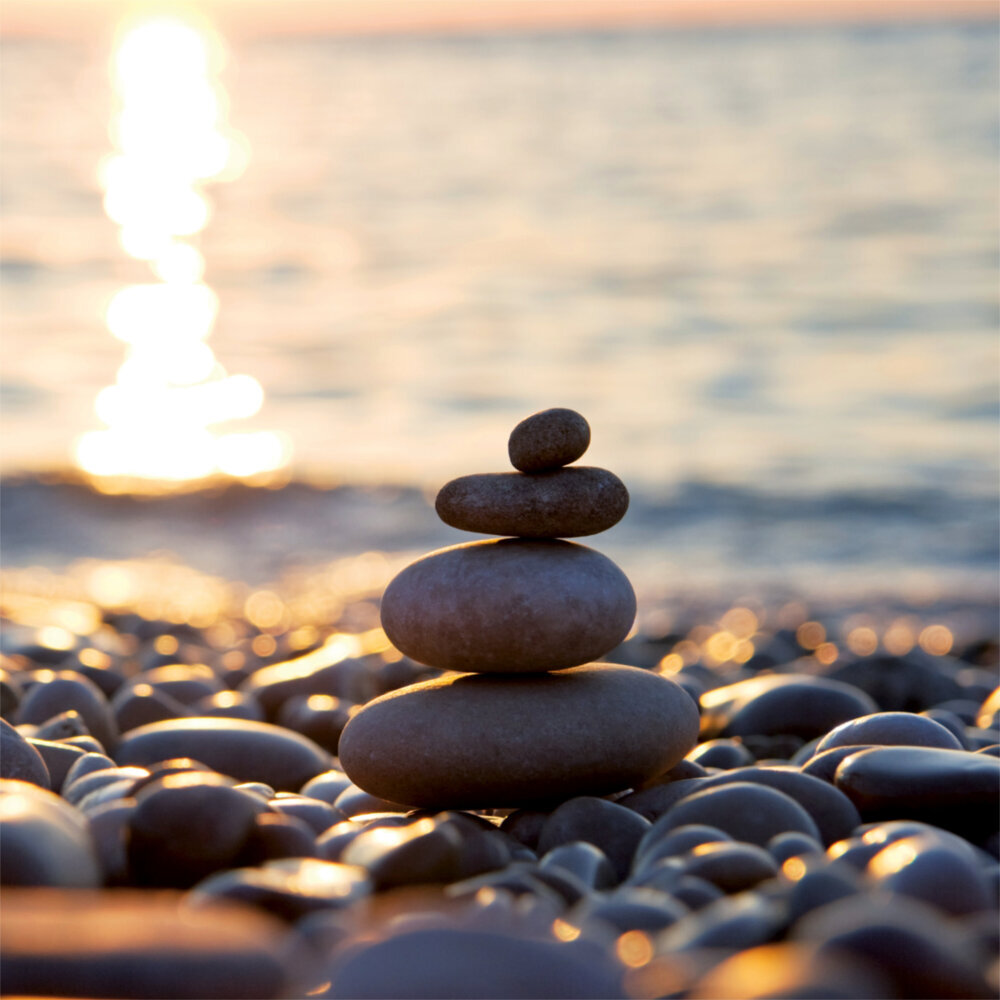 Weitere Ansicht: Zen Nature 2023
