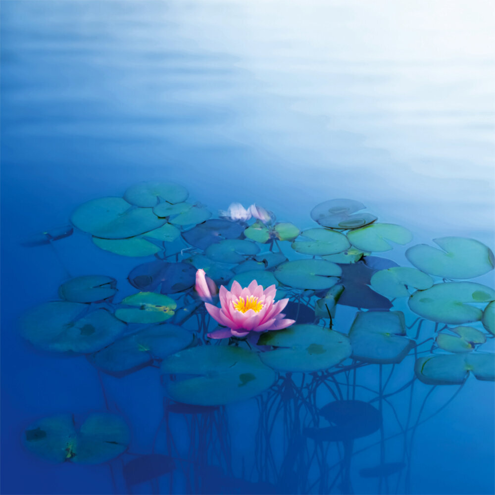 Weitere Ansicht: Zen Nature 2023