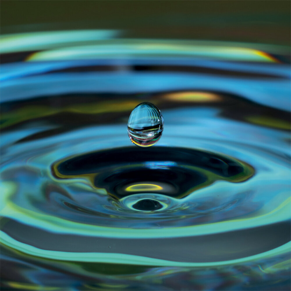 Weitere Ansicht: Zen Nature 2023