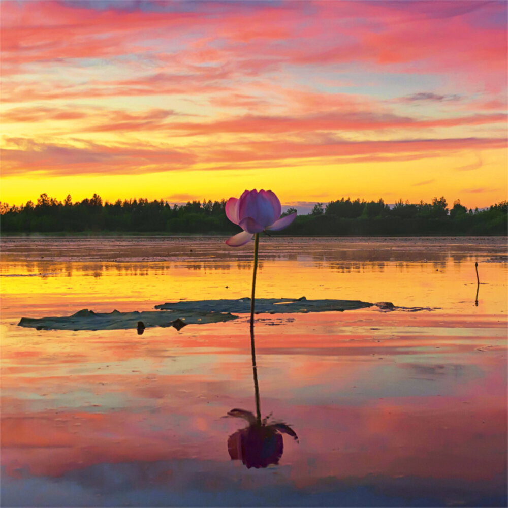 Weitere Ansicht: Zen Nature 2023