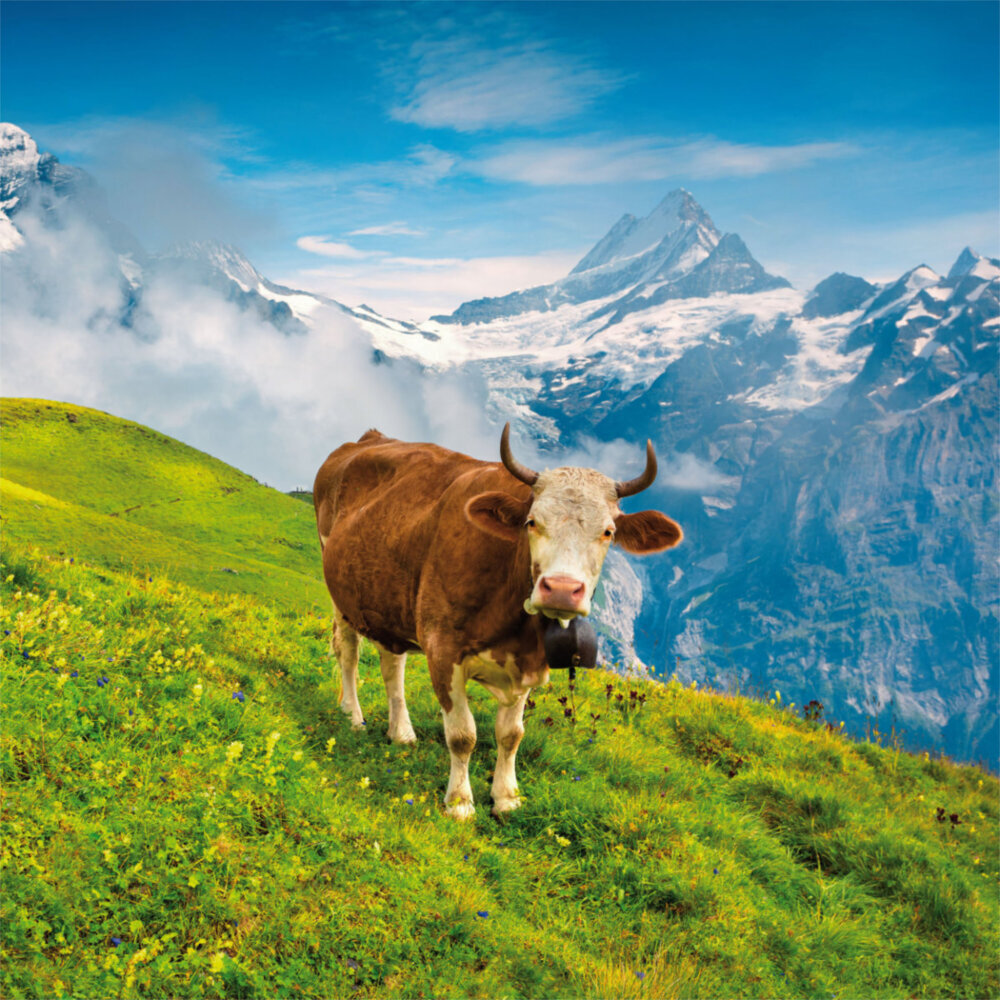 Weitere Ansicht: Alpen 2023