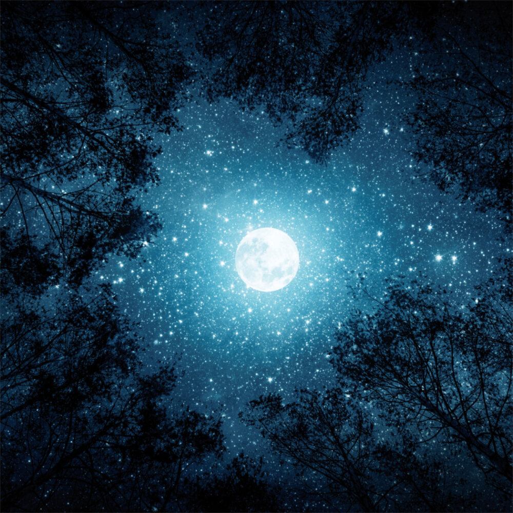 Weitere Ansicht: The Moon/Der Mond 2023