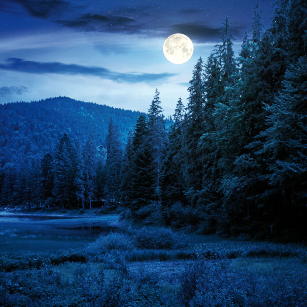 Weitere Ansicht: The Moon/Der Mond 2023