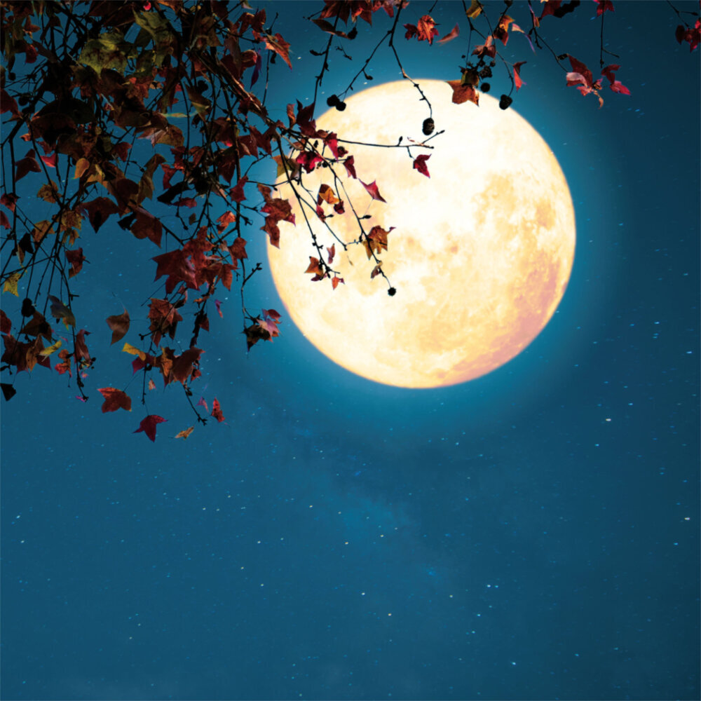 Weitere Ansicht: The Moon/Der Mond 2023