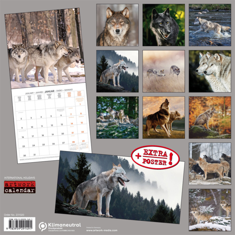 Weitere Ansicht: Wolves/Wölfe 2023