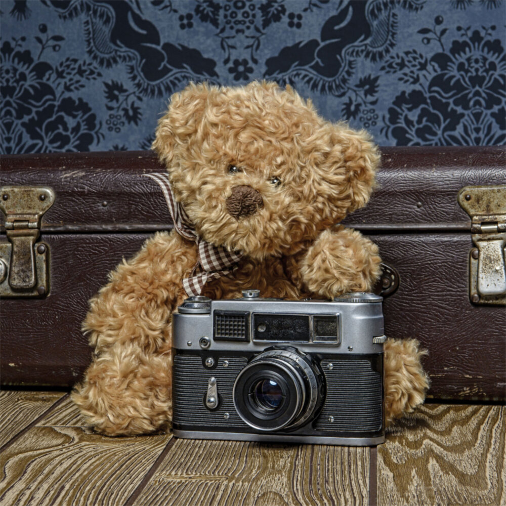 Weitere Ansicht: Teddy's World 2023