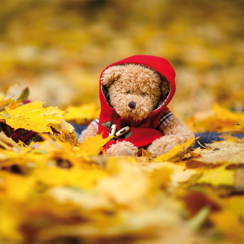 Weitere Ansicht: Teddy's World 2023