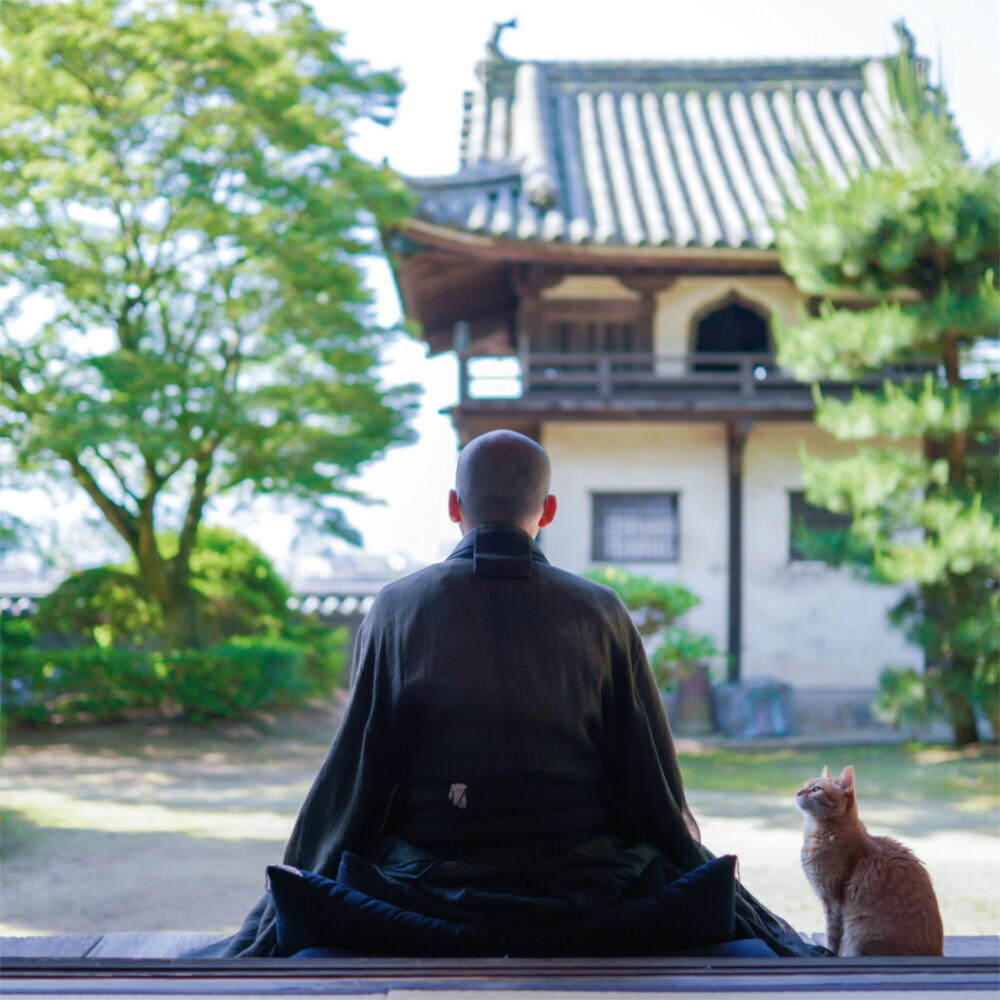 Weitere Ansicht: Zen Spirit 2023