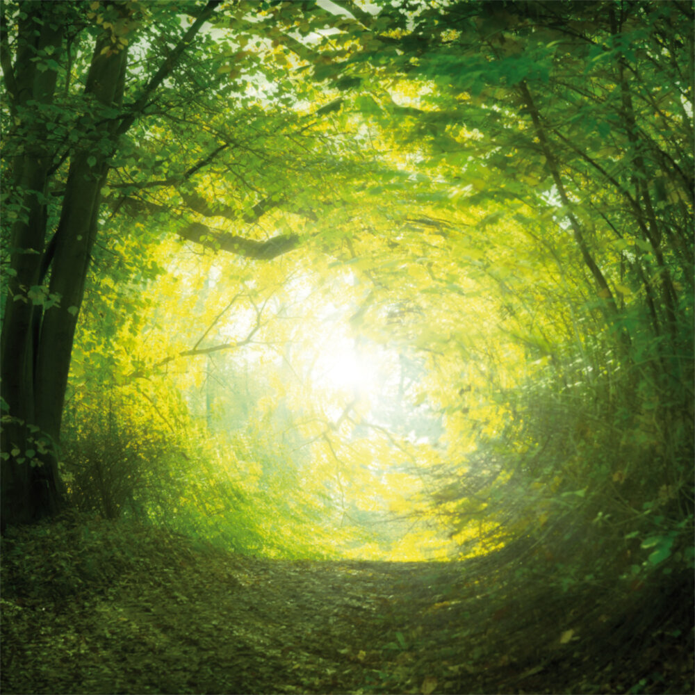 Weitere Ansicht: Zen Spirit 2023