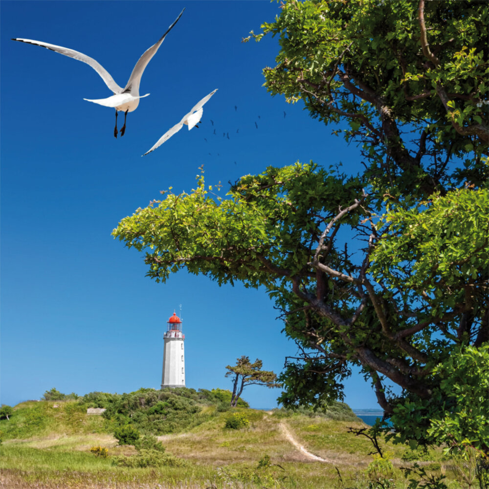 Weitere Ansicht: Baltic Sea/Ostsee 2023