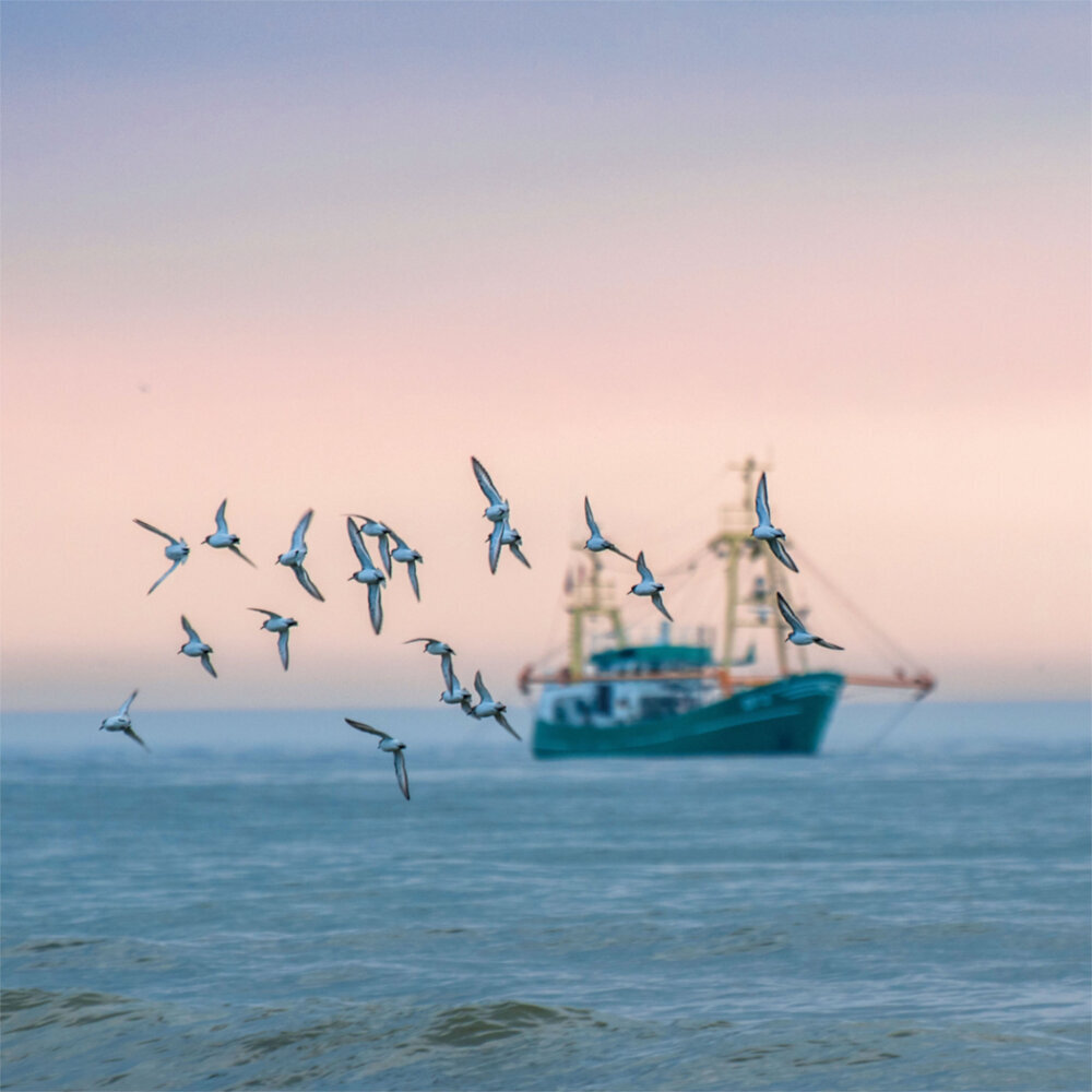 Weitere Ansicht: Northern Sea/Nordsee 2023