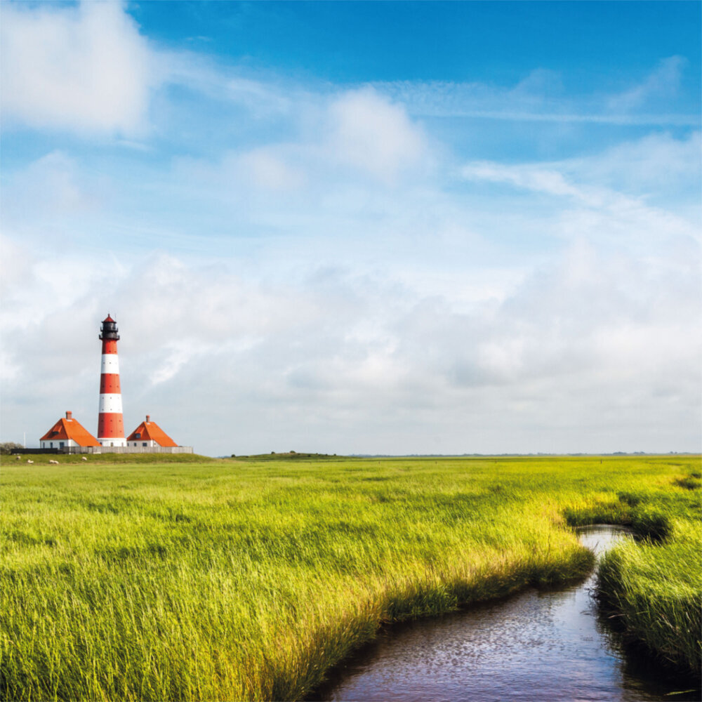 Weitere Ansicht: Northern Sea/Nordsee 2023
