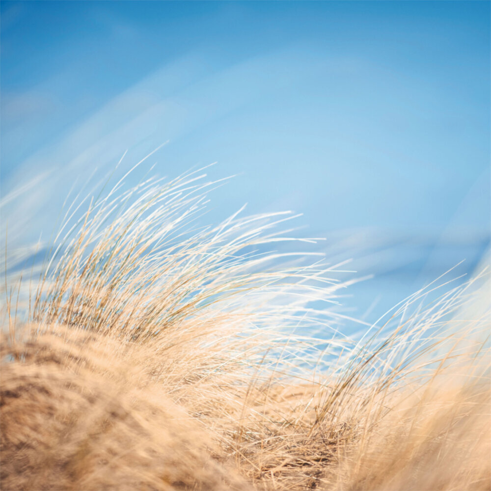 Weitere Ansicht: Northern Sea/Nordsee 2023