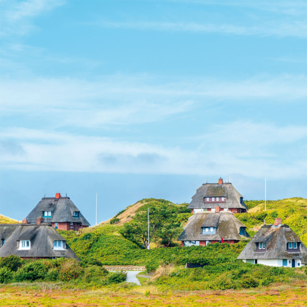 Weitere Ansicht: Northern Sea/Nordsee 2023