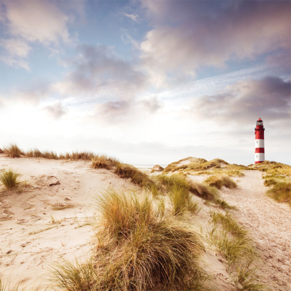 Weitere Ansicht: Northern Sea/Nordsee 2023