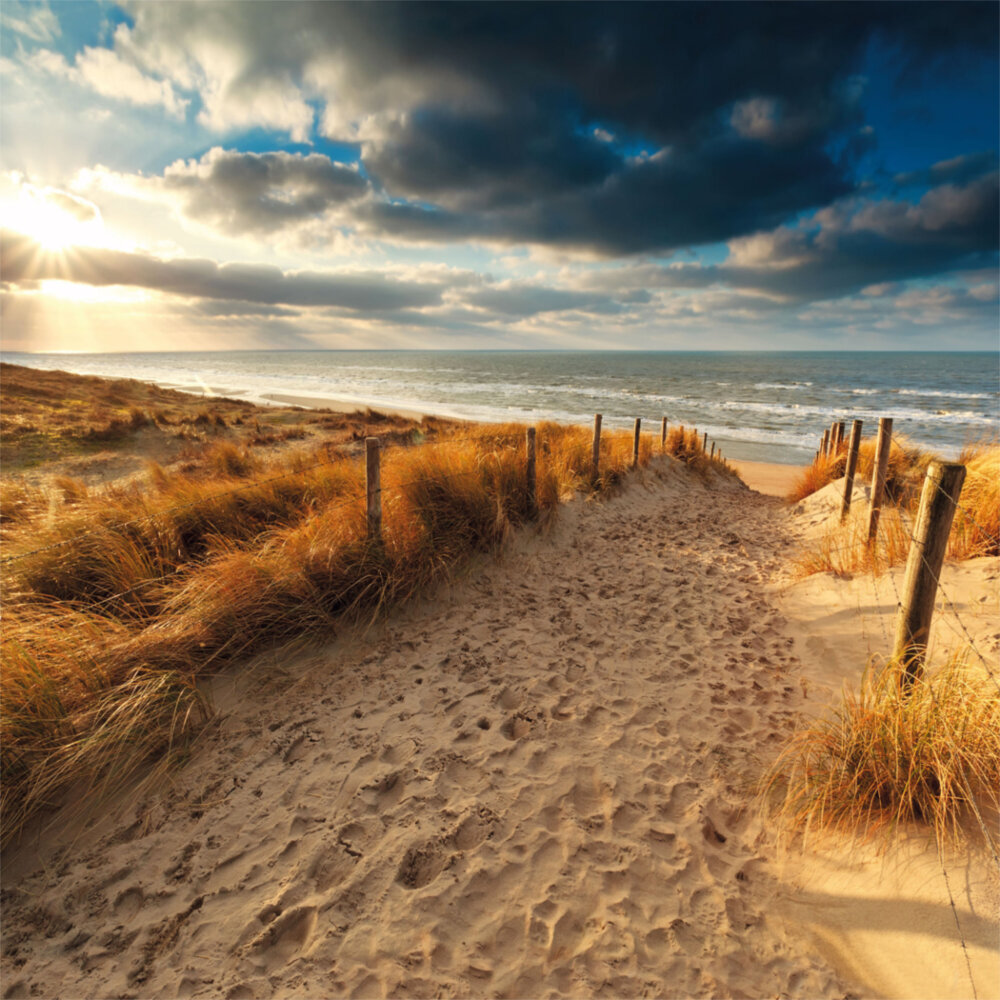 Weitere Ansicht: Northern Sea/Nordsee 2023