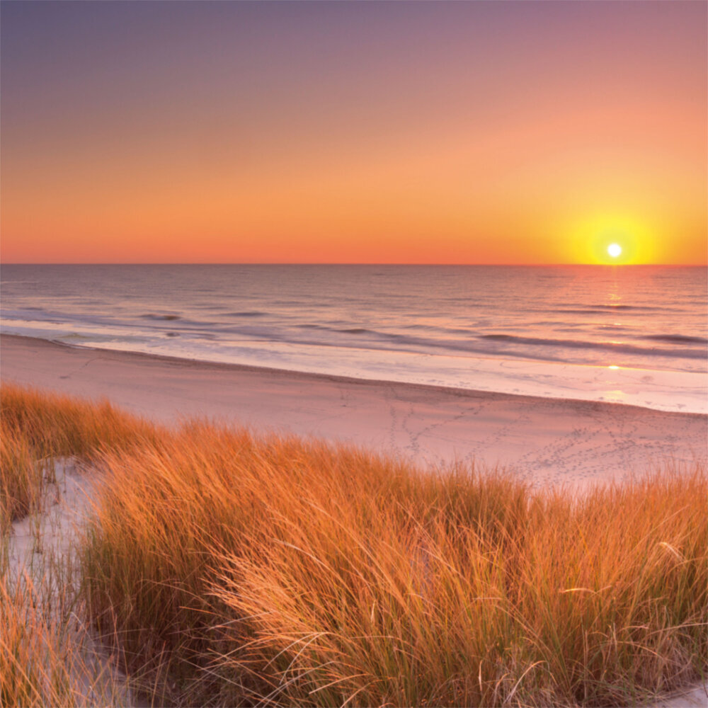 Weitere Ansicht: Northern Sea/Nordsee 2023