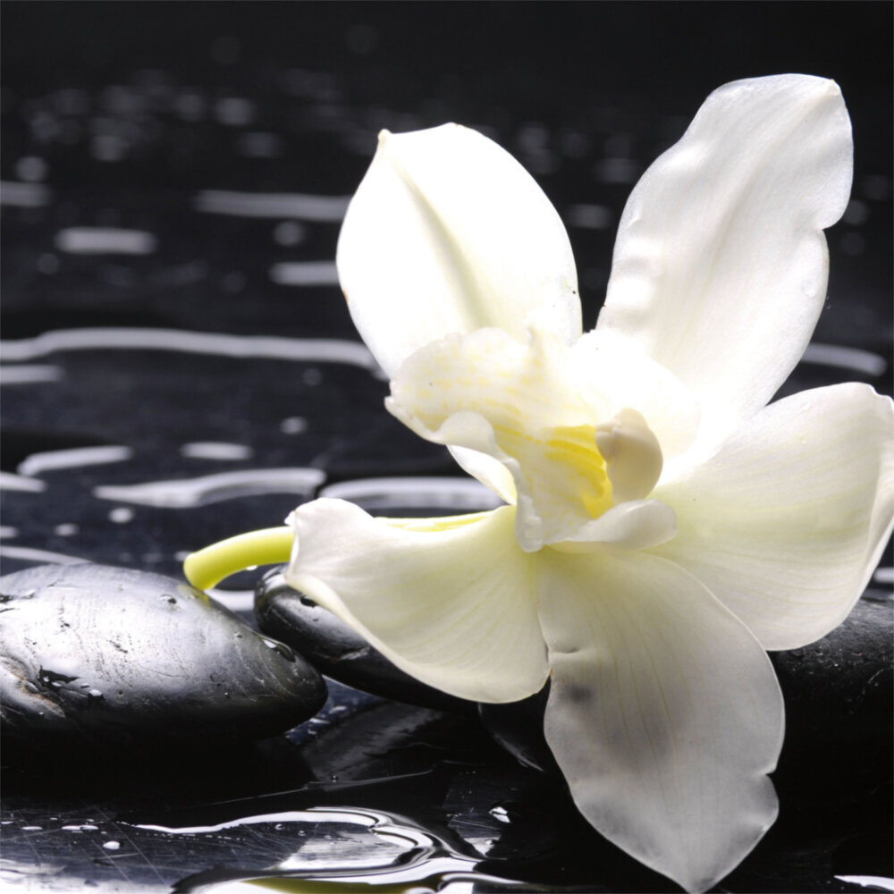 Weitere Ansicht: Moments 2023