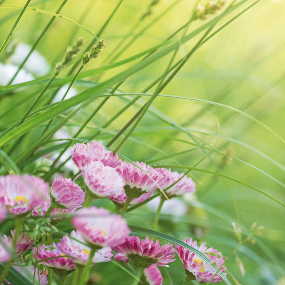 Weitere Ansicht: Moments 2023