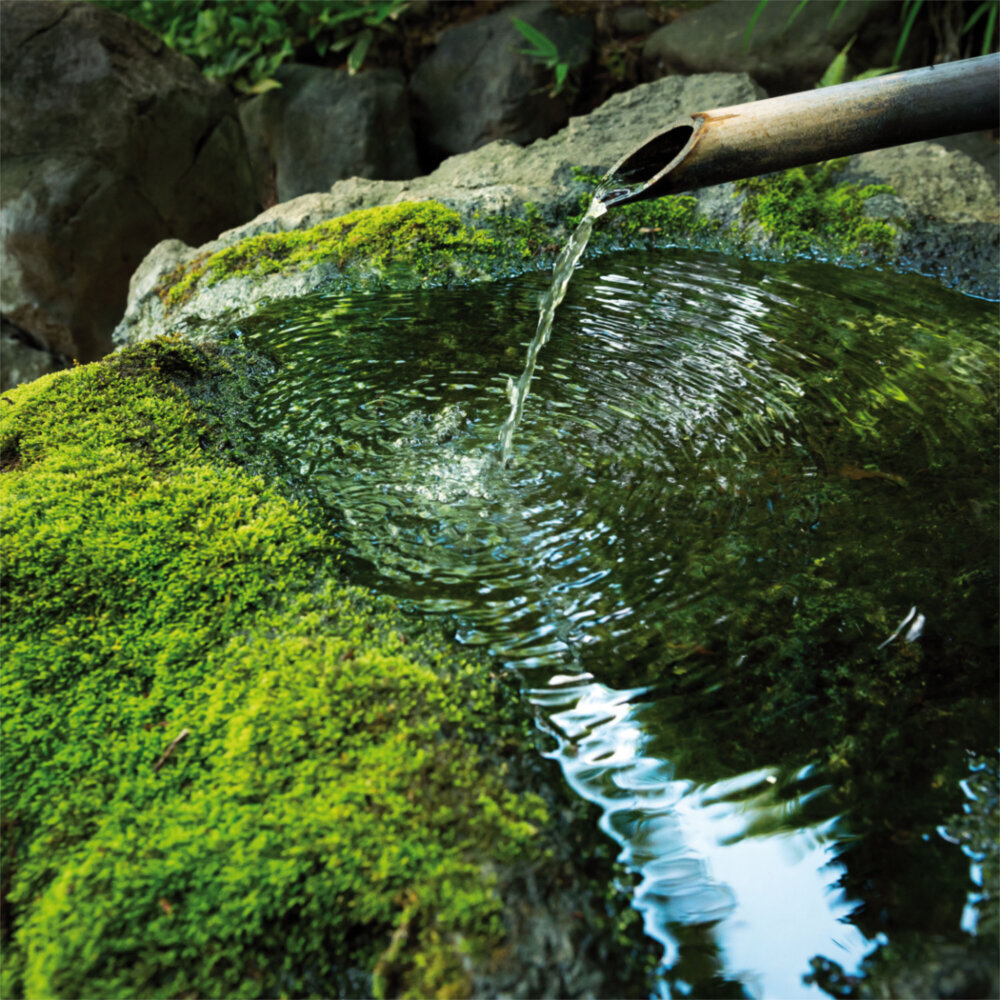 Weitere Ansicht: Moments 2023