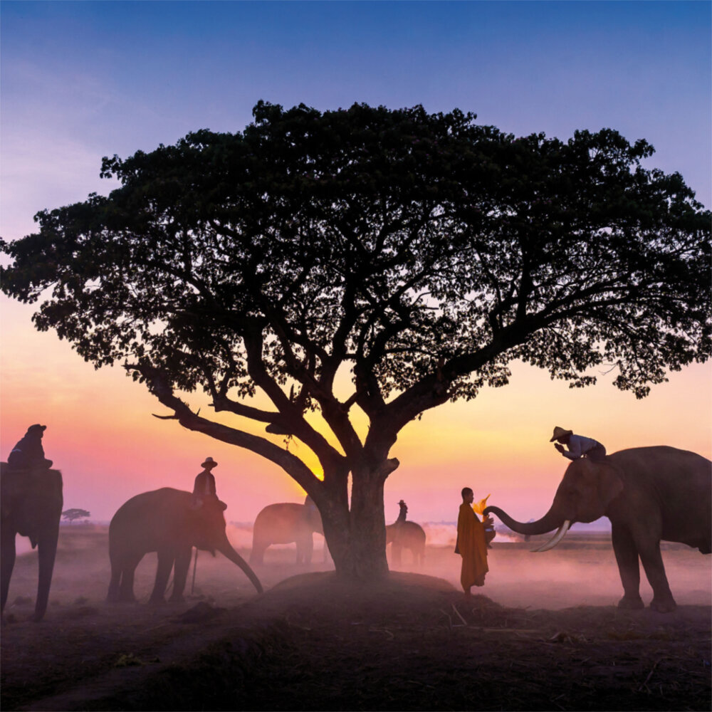 Weitere Ansicht: Moments 2023