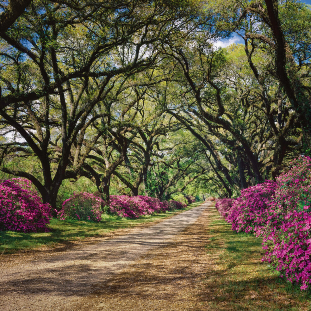 Weitere Ansicht: Moments 2023