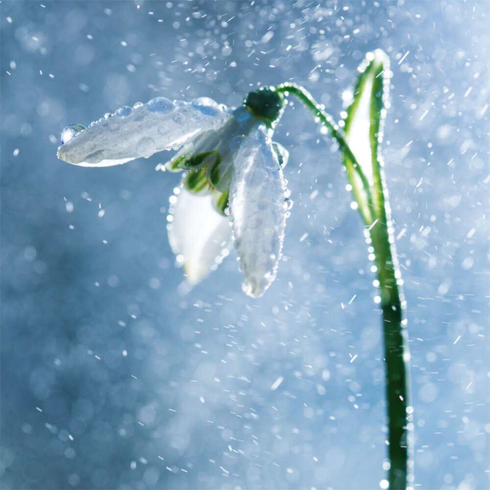 Weitere Ansicht: Moments 2023