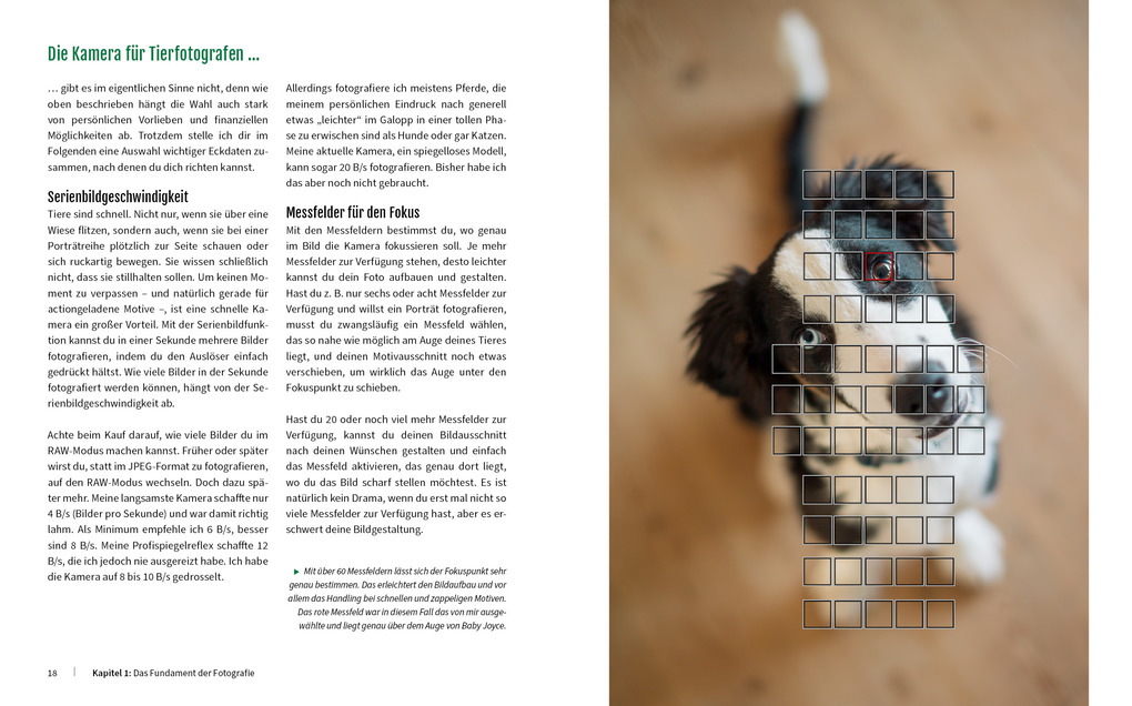 Weitere Ansicht: Haustiere perfekt fotografieren | Haas Wiebke