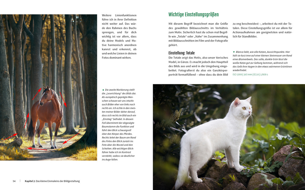 Weitere Ansicht: Haustiere perfekt fotografieren | Haas Wiebke